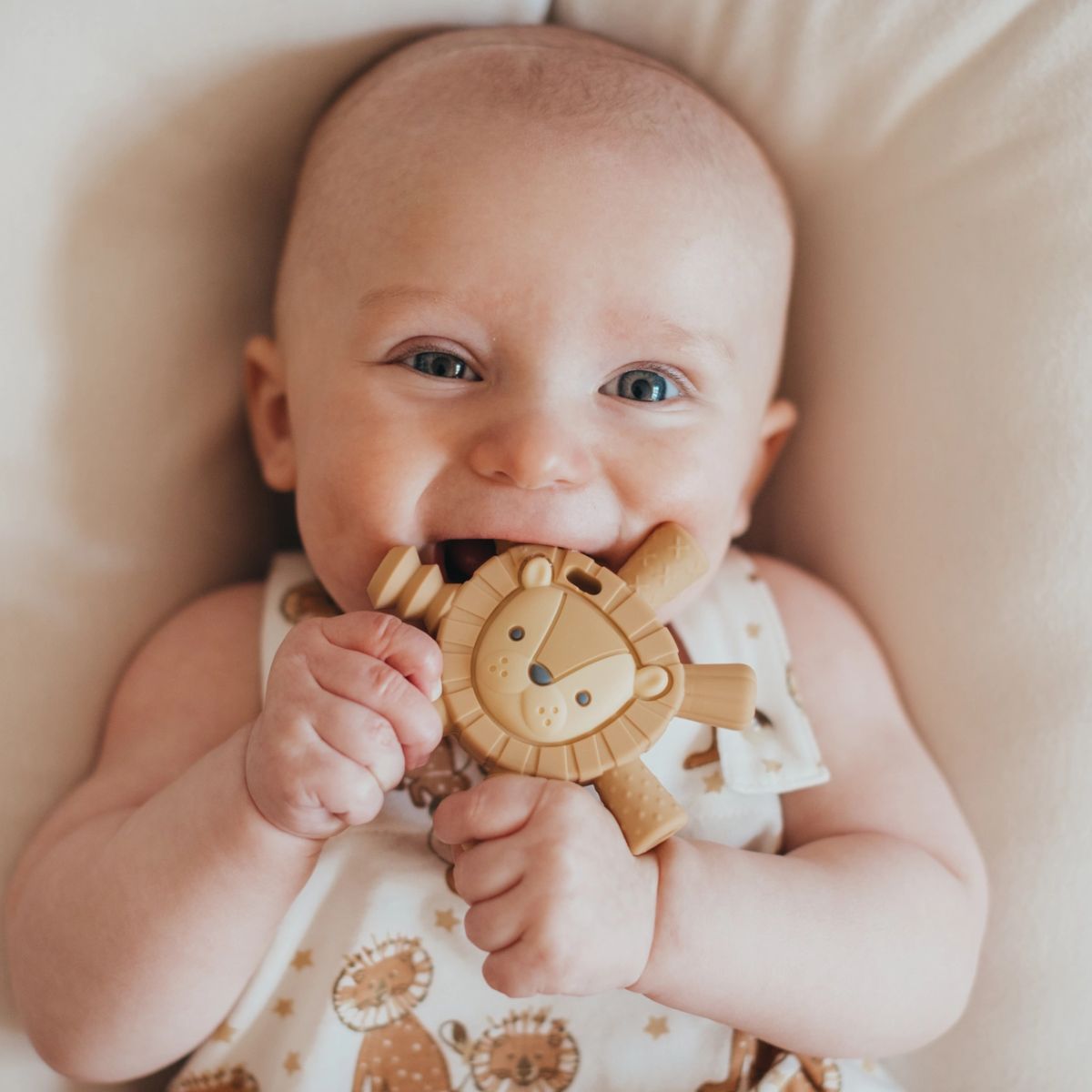 Itzy Ritzy Teether Baby Molar Teether - Lion - Soothing Relief for Teething